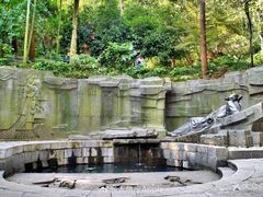 -敬亭山风景名胜区