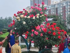 -宝鸡植物园