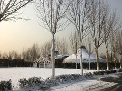 -九十九顶毡房(阜石路店)