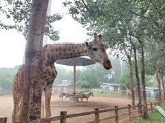 -大连森林动物园