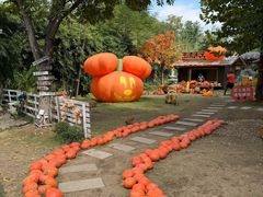 -HERRE·FARM 赫尔露营农场·团建聚会包场