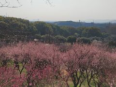 -无锡梅园公园