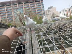 -泉城广场