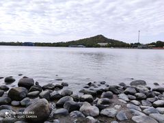 -上海月湖雕塑公园