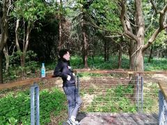 -昆山城市生态森林公园