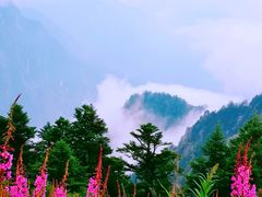 -九峰山