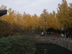 -月湖公园