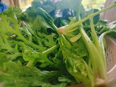-马帮菜馆·美味野生菌
