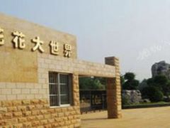 -南宁花花大世界景区