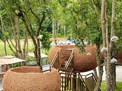 -火炉山森林公园