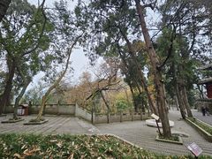 -子昂故里文化旅游区