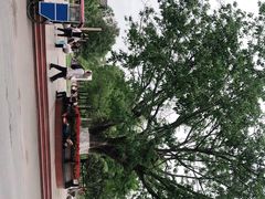 -宝光寺