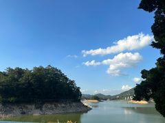 -广州市流溪河国家森林公园