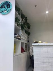 -尚·丹尼Hair