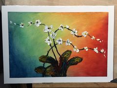 -黑骏画室·深圳美术中高考黄埔军校