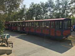 -永定河休闲森林公园