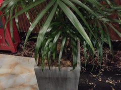 -康心源养生会所·足疗·推拿SPA·采耳 ( 唐家店)