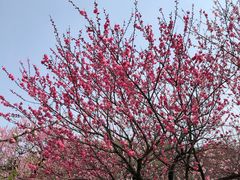 -南山风景名胜区