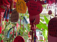 -曼听御花园