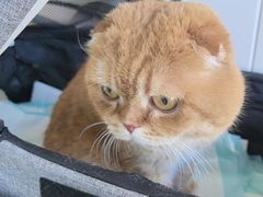 -芭比堂动物医院·CT·微创中心(新顺分院)