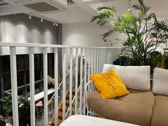 -隹木咖啡馆(宝龙广场店)