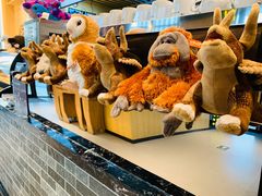 -ZOO COFFEE动物园咖啡(望京锐创店)