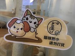 -猫冇咖·家门口的撸猫馆(大融城店)