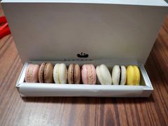 马卡龙-BLACKSWAN黑天鹅(环球店)