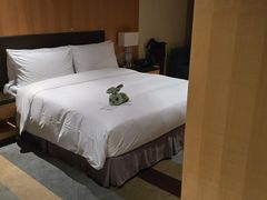 -天津滨海圣光皇冠假日酒店