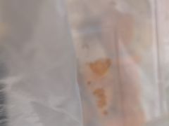 -森成美食店(海珠店)