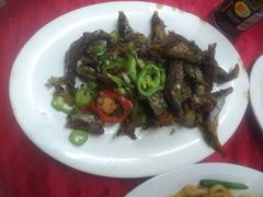 -蛇口康乐快餐鱼仔档(翠苑小区店)