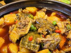 -青城甲(青城山店)