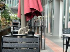 -THE WOODS 简餐 (国贸商城店)