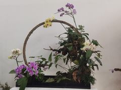 -东平国家森林公园