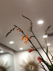-YESIDO椰岛造型烫发染发