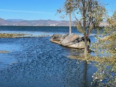 -洱海月湿地公园