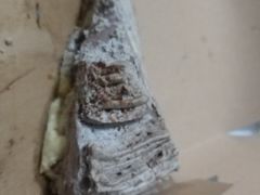 -MUSANG KING猫山王(龙湖杭州滨江天街店)