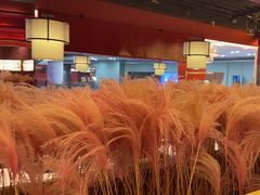 -刘一锅筋头巴脑(大悦城C店)