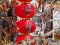-朵云书院·广富林店