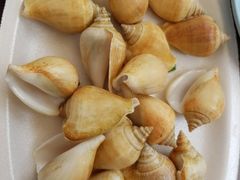 -东海岸人工湖美食村