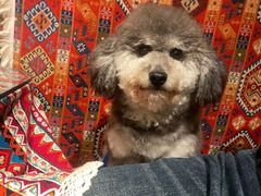 -火塘云南烧烤大排档