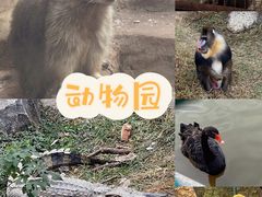 -南昌动物园