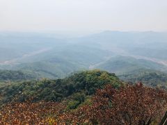 -天女山森林公园