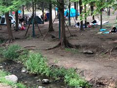 -白水寺森林公园