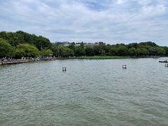 -西湖外事游船(花港观鱼码头)