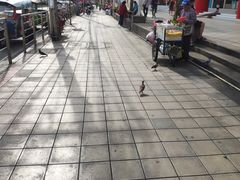 -皇宫大酒店