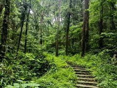 -素山寺森林公园