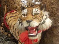 -破瓦寒窑·地摊烤羊排