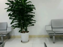 -上海报业大厦