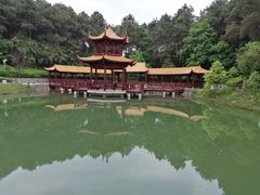 -铁山坪森林公园